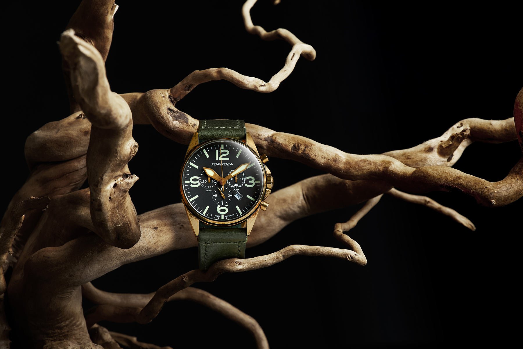 Natural concept advertising photo for Torgoen watches